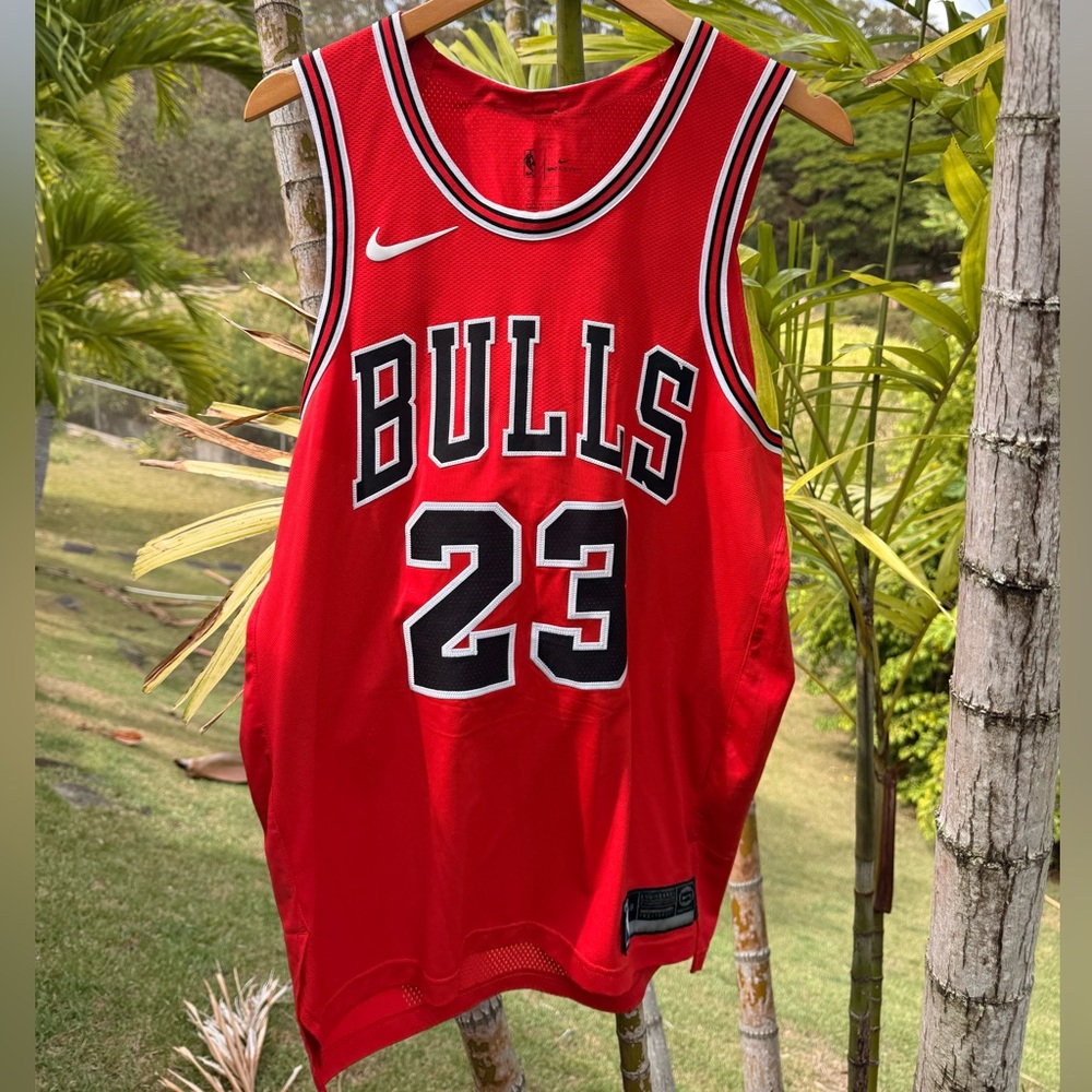 NBA Authentic Chicago Bulls Michael Jordan Nike Jersey